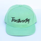 RTS Solid Mint TRUSTWORTHY Snapback