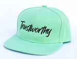 RTS Solid Mint TRUSTWORTHY Snapback