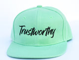 RTS Solid Mint TRUSTWORTHY Snapback