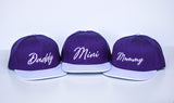 RTS ADULT Purple/White MINI Snapback