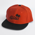 RTS YOUTH Burnt Orange and Black Logo Snapback